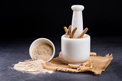 Ancient Herb, Modern Science: Ashwagandha Tackles Rising Dog Anxiety