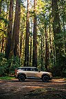 Kia's 2027 Seltos: A Calculated Play for the Heart of the SUV Market