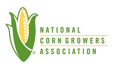 Corn Growers 'Disgusted' as Congress Scraps E15 Biofuel Provision