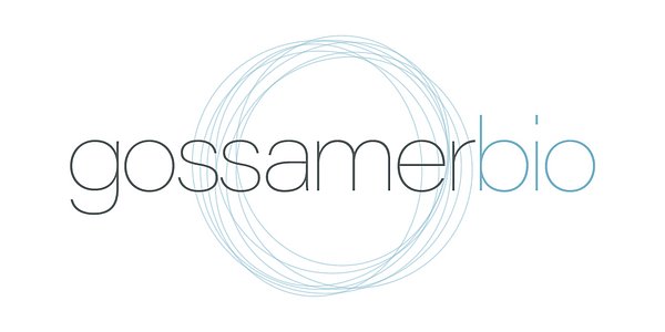 Gossamer's High-Stakes Hire: What a Key Stock Grant Reveals