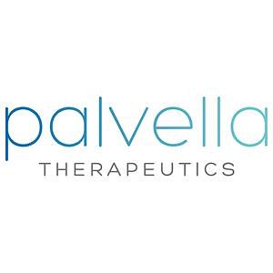 Palvella Nears Goal Line for First-Ever Rare Skin Disease Therapy