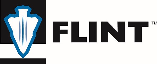 FLINT Taps Veteran Leader for COO to Drive Growth and Profitability