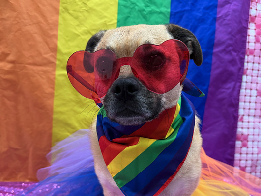 Beyond the Rainbow: Inside Skiptown’s Hyper-Local Pride Strategy