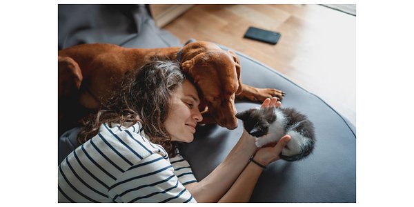 Blue Buffalo Turns Pet Food Sales into Shelter Support with $250K Goal