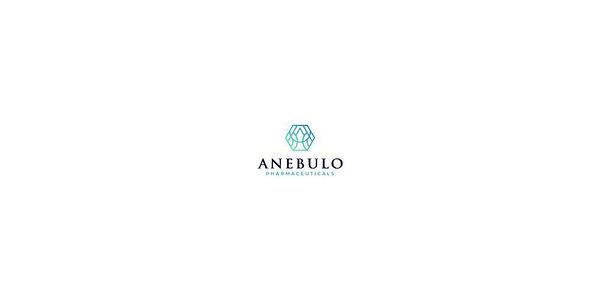 Anebulo's Nasdaq Exit: A Strategic Retreat or Sign of Distress?