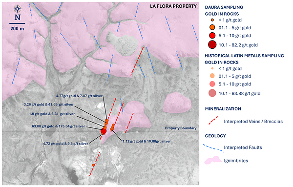 Gold Veins and Partner Gains: A New Model Strikes it Rich in Argentina