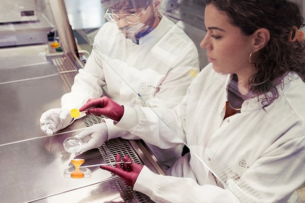 Future of Tissue Repair: Cellbricks Secures €10M for Living Implants