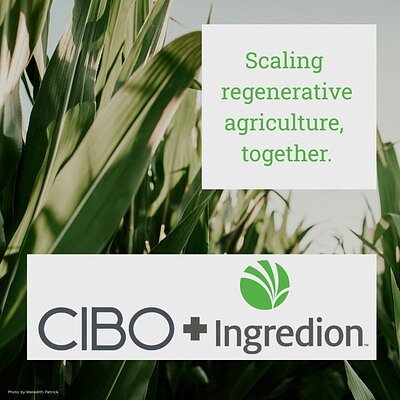 Ingredion Taps AI to Cultivate Sustainable Supply Chain with CIBO Tech