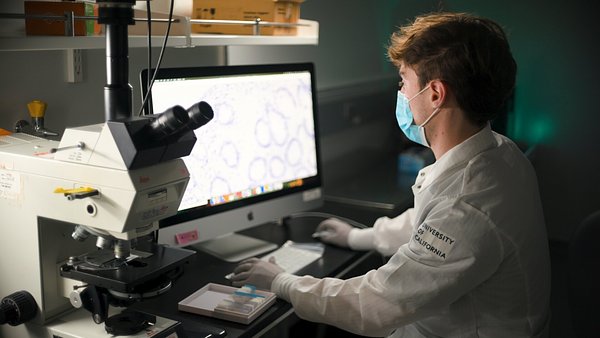 New Initiative Aims to Crack the Long COVID Diagnostic Code