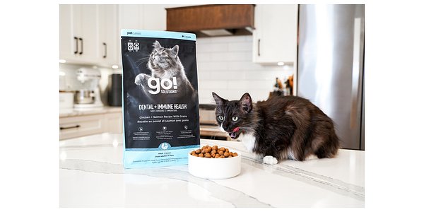 Petcurean Unveils Dual-Action Food for Dental and Immune Health