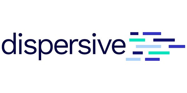 Stealth Networking: An Invisible Shield for Human Rights Defenders