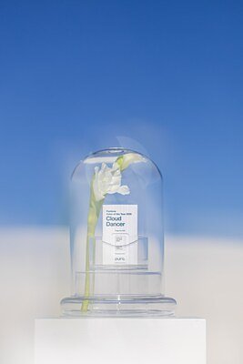 Scent of Serenity: How Smart Tech and Color Trends Redefine Home Luxury