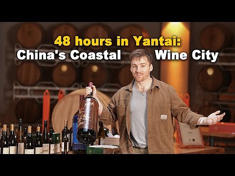 Yantai: How China's Coastal City Built a Global Wine Empire