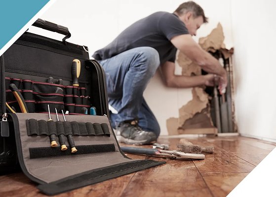 Seattle's Rising Tide: Restoration Firm Boosts Response to Climate Risks