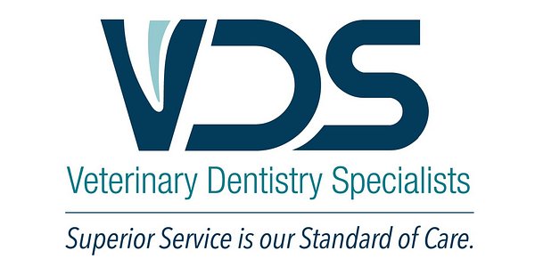 Philly's Pet Dental Crisis Gets New Hope with Specialist Clinic