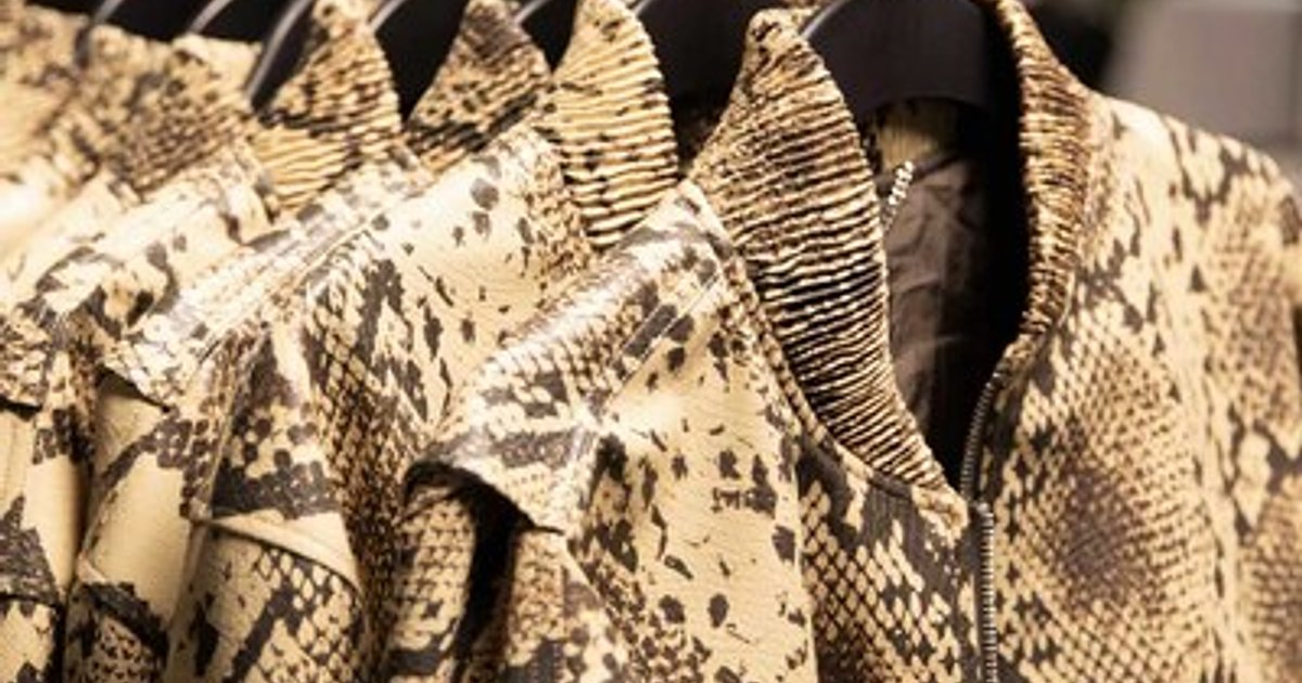 The New Fabric of Fashion: BioFleax Debuts in McCartney x H&M Collab -  BriefGlance.com
